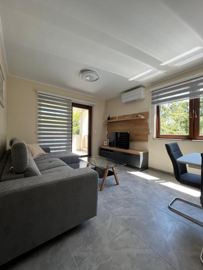 Apartman David غييكا المظهر الخارجي الصورة